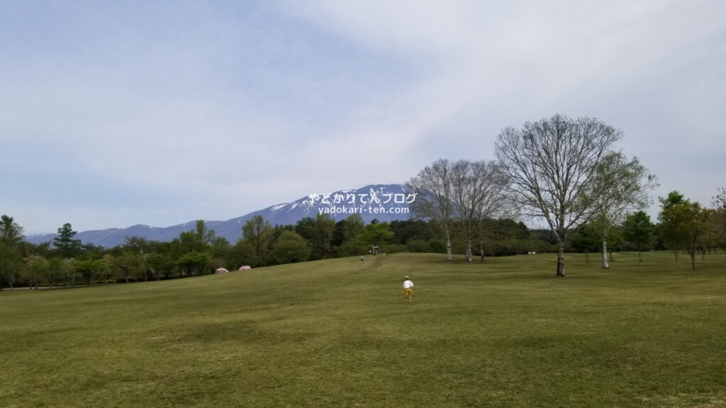 小岩井農場まきば園で走り回れる草原