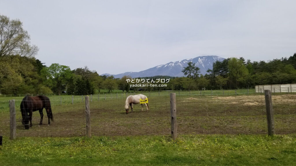 小岩井農場まきば園の小岩井ホースパーク