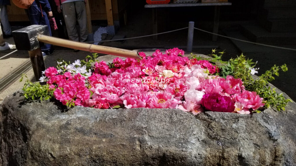 中尊寺白山神社の花手水